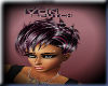 TOMBOY Black Purple